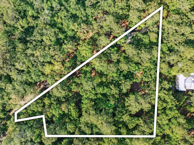 a close up of a plant in a balcony