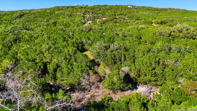 $175,000 | Lot 446 Cr 2763 Mico Tx 78056, Mico, TX 78056