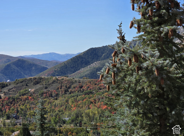 3378 Spring Way, Unit 410 Huntsville, UT 84317 - Photo 15 of 24 Expansive mountain backdrop with a forested landscape