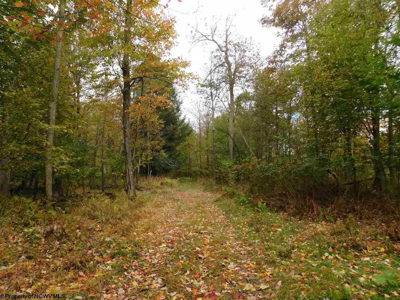Tbd Scott Cramer Road Terra Alta, WV 26764 - Photo 12 of 19 Gallery Image 12