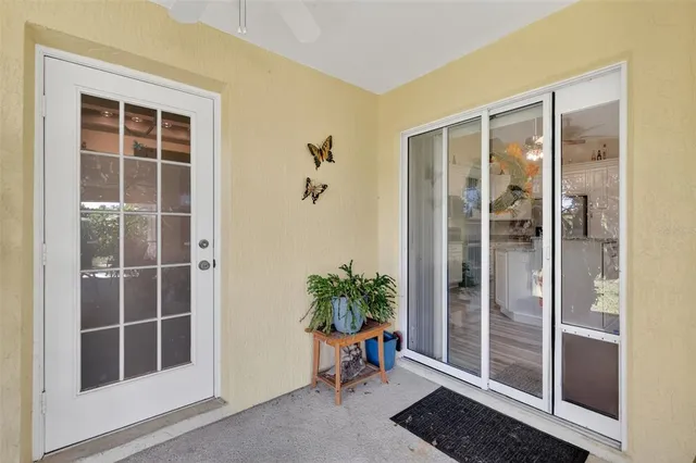 a view of a room with a potted plant and front door