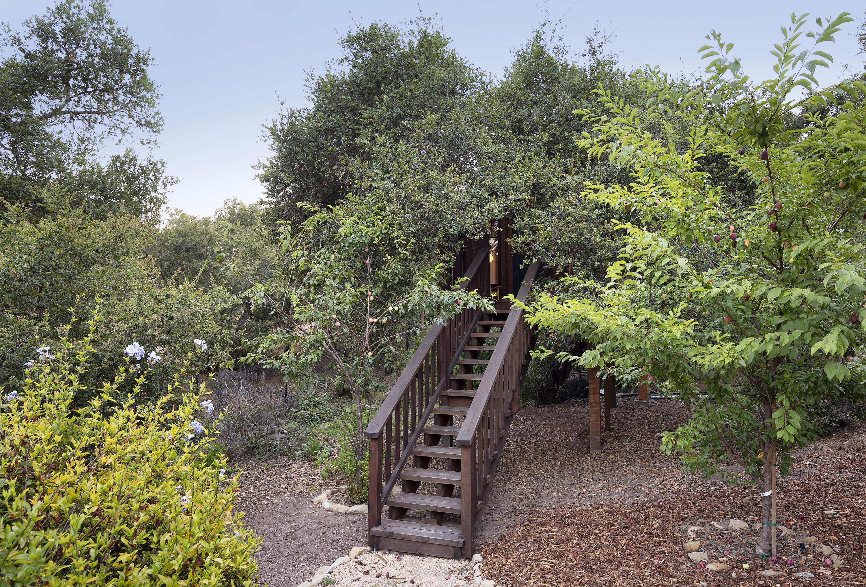 925 El Rancho Road Montecito, CA 93108 - Photo 21 of 28 a view of a backyard