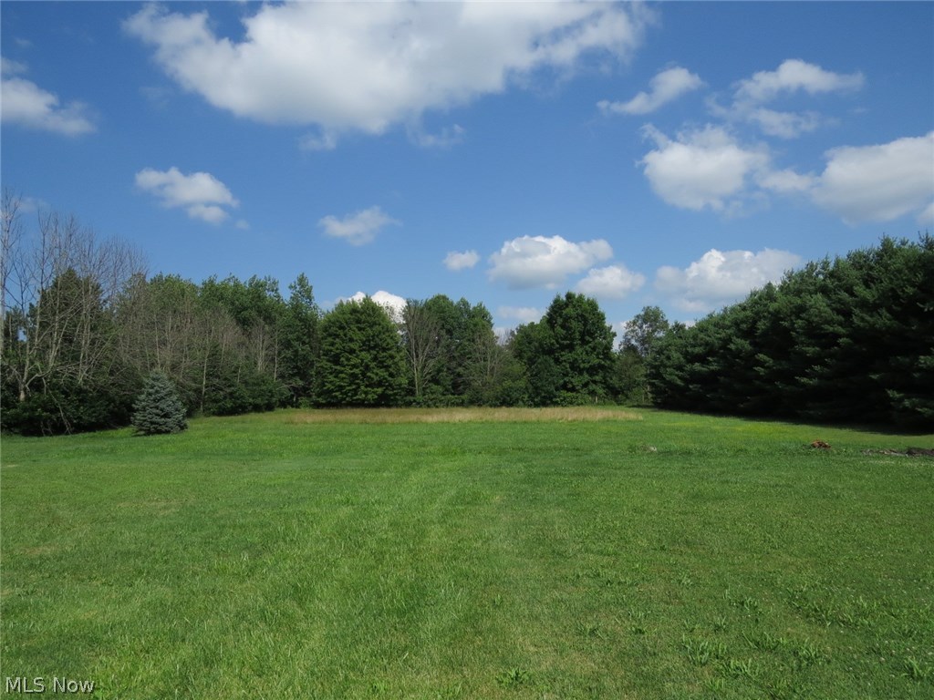 7145 Vandemark Road Lodi, OH 44254 - Photo 17 of 33 Gallery Image 17