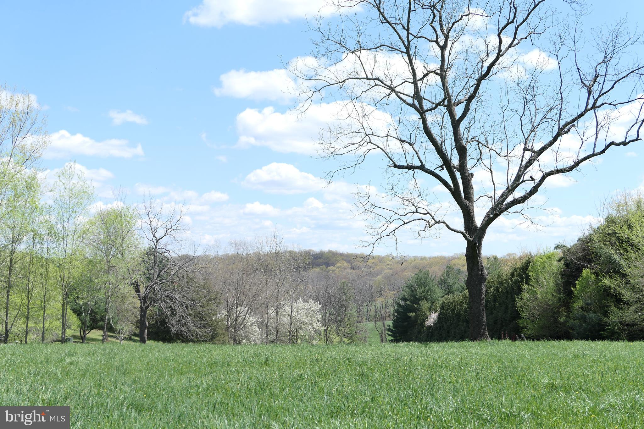15423 Dover Road Upperco, MD 21155 - Photo 45 of 50 Panoramic View from Sunroom