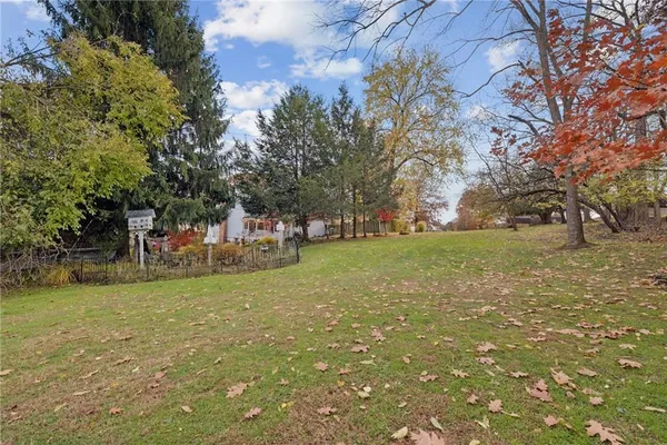 a view of a park with large trees