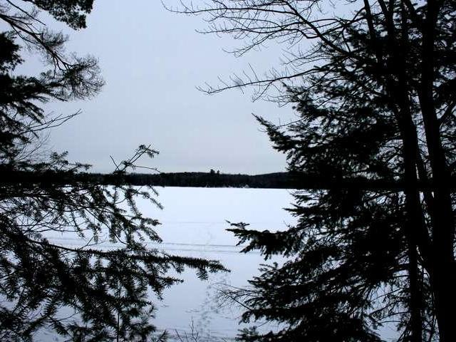 On Art Thompson Road Harshaw, WI 54529 - Photo 6 of 11 Gallery Image 6