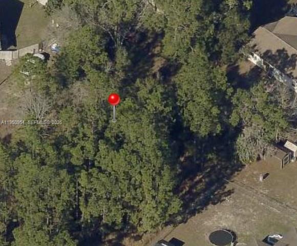 0 Pine Trace Way Ocala, FL 34472 - Photo 1 of 3 a close up of a tree