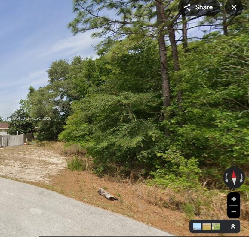 0 Pine Trace Way Ocala, FL 34472 - Photo 2 of 3 a view of a yard with plants and trees