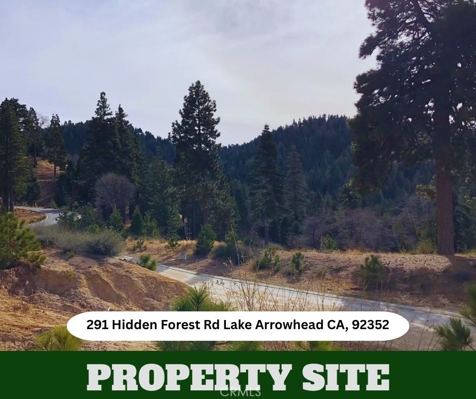 291 Hidden Frst Road Lake Arrowhead, CA 92352 - Photo 5 of 14 Gallery Image 5