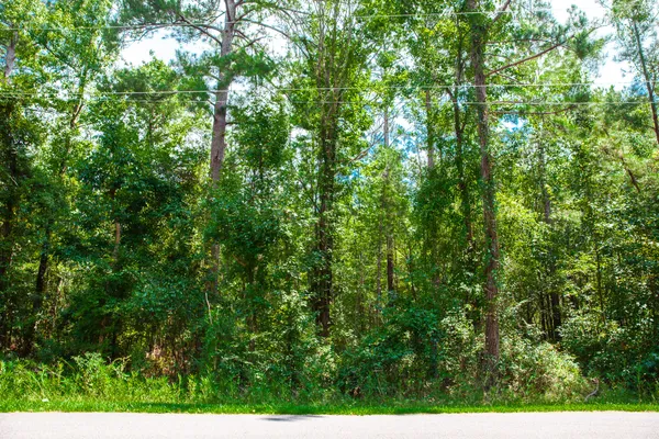 $95,000 | Lot 9 Bent Oak Road, Clarks Hill, SC 29821