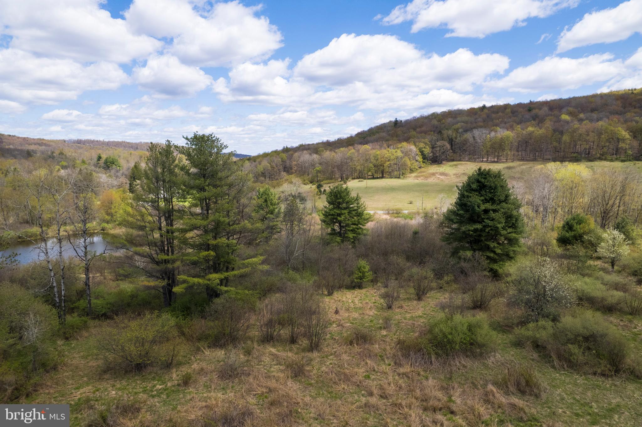 0 Holbrook Road Montrose, PA 18801 - Photo 117 of 147