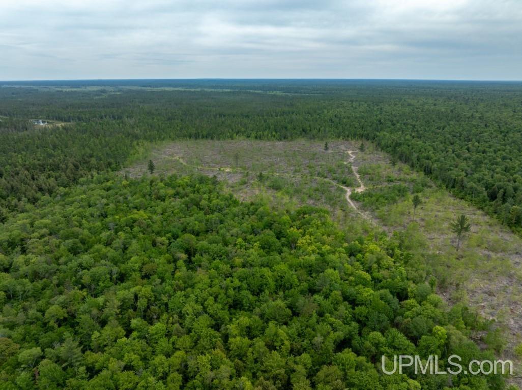 Tbd Off Co Rd 450 Road Seney, MI 49883 - Photo 5 of 13