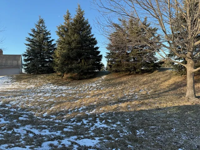 a view of a yard with trees
