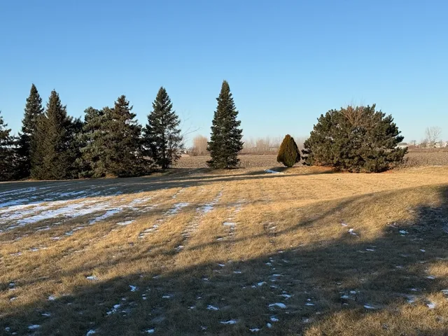 a view of a yard with a tree