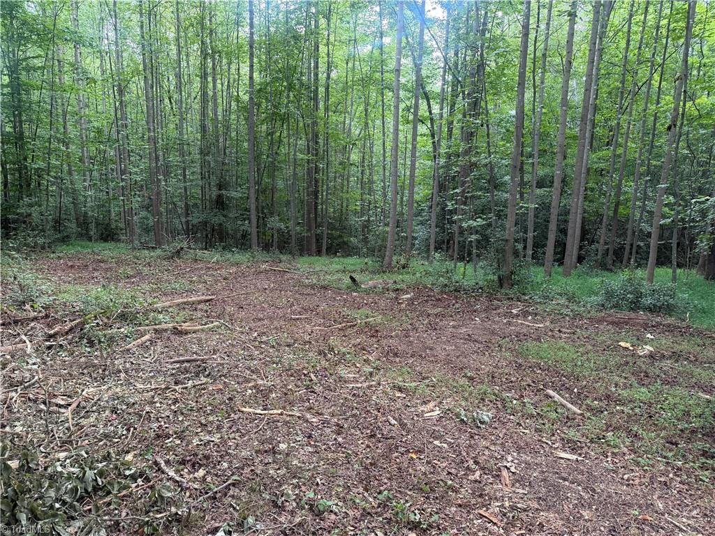 N/a Red White And Blue Road Roaring River, NC 28669 - Photo 2 of 17 Entrance Lot