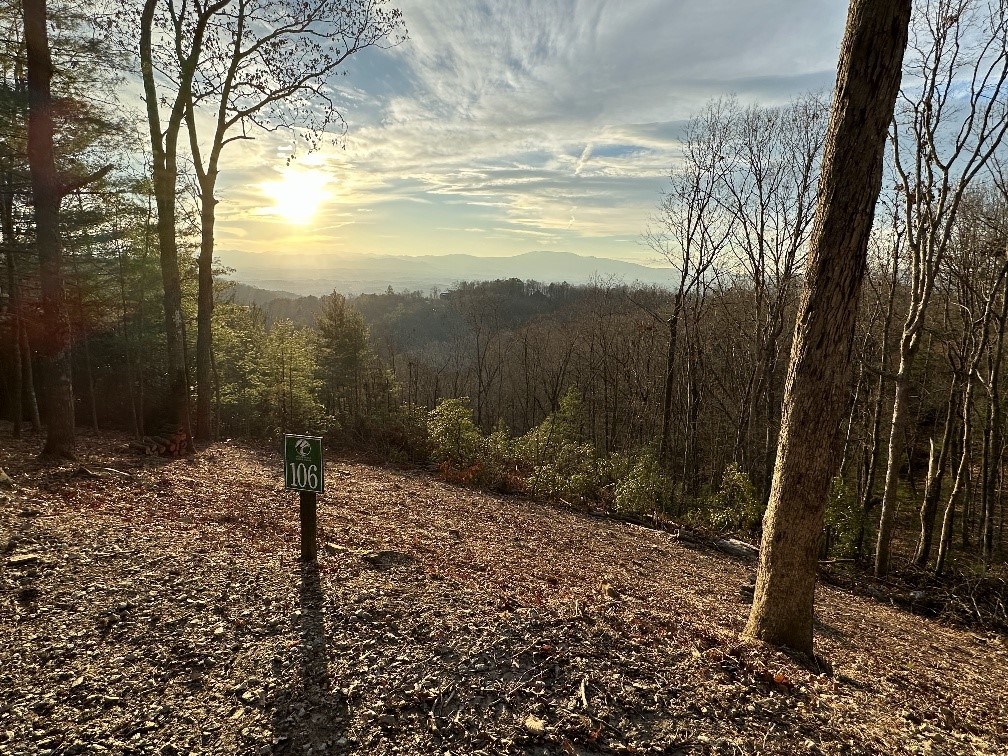 106 Lazy Country Cv Road Murphy, NC 28906 - Photo 2 of 13