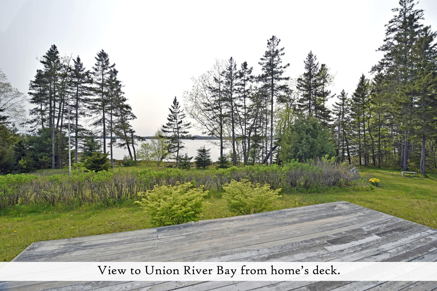 827 Bayside Road Ellsworth, ME 04605 - Photo 78 of 82 grounds 8, label