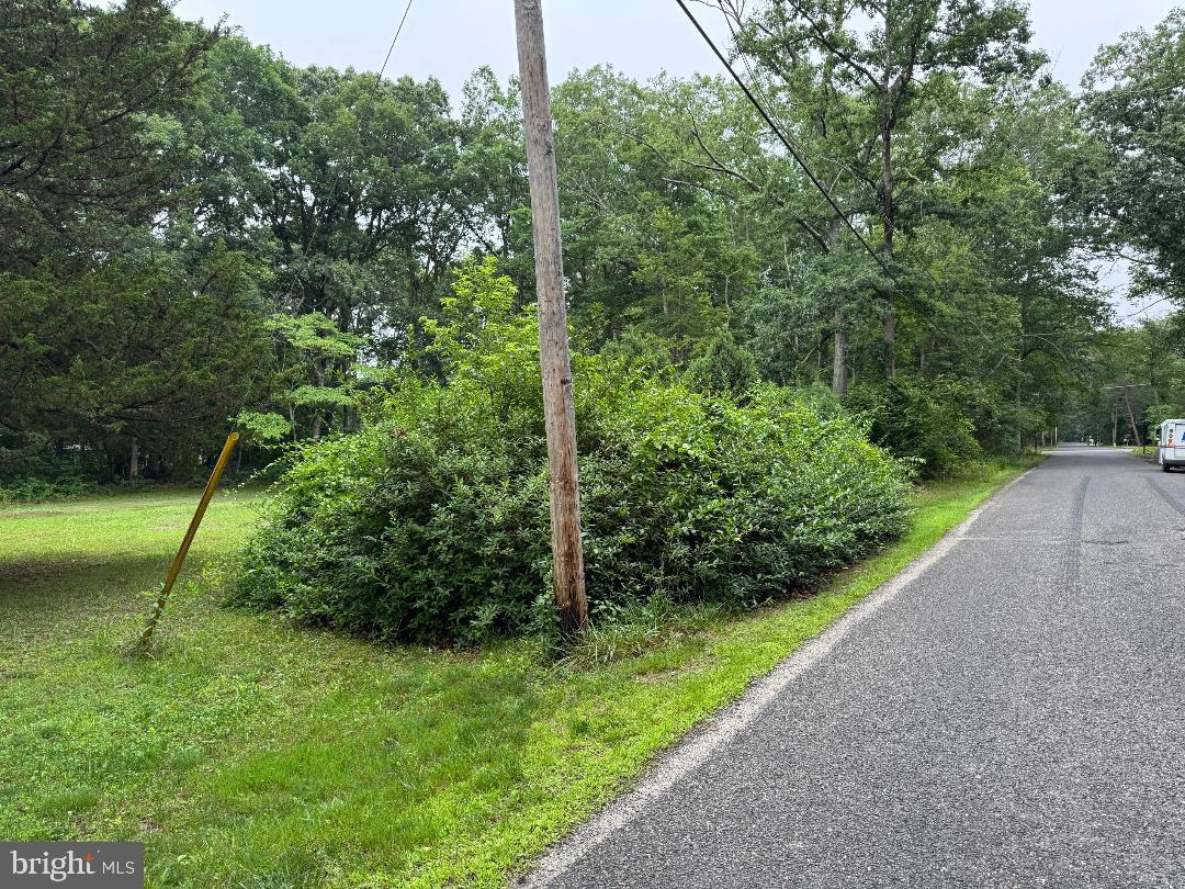 13 Cramer Road Tabernacle, NJ 08088 - Photo 46 of 48 a view of a yard with a trees