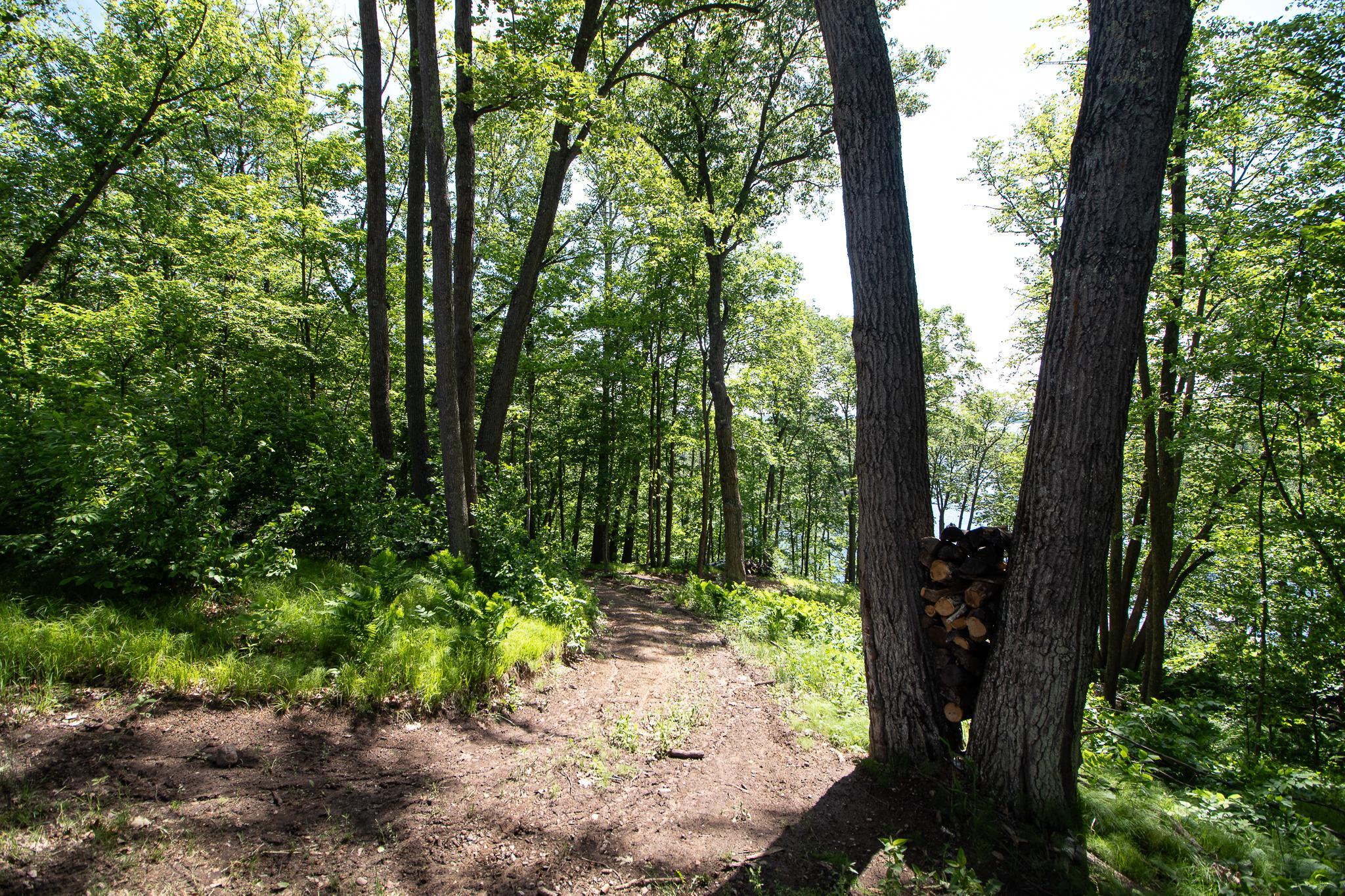 22281 Shadow Point Emily, MN 56447 - Photo 39 of 47
