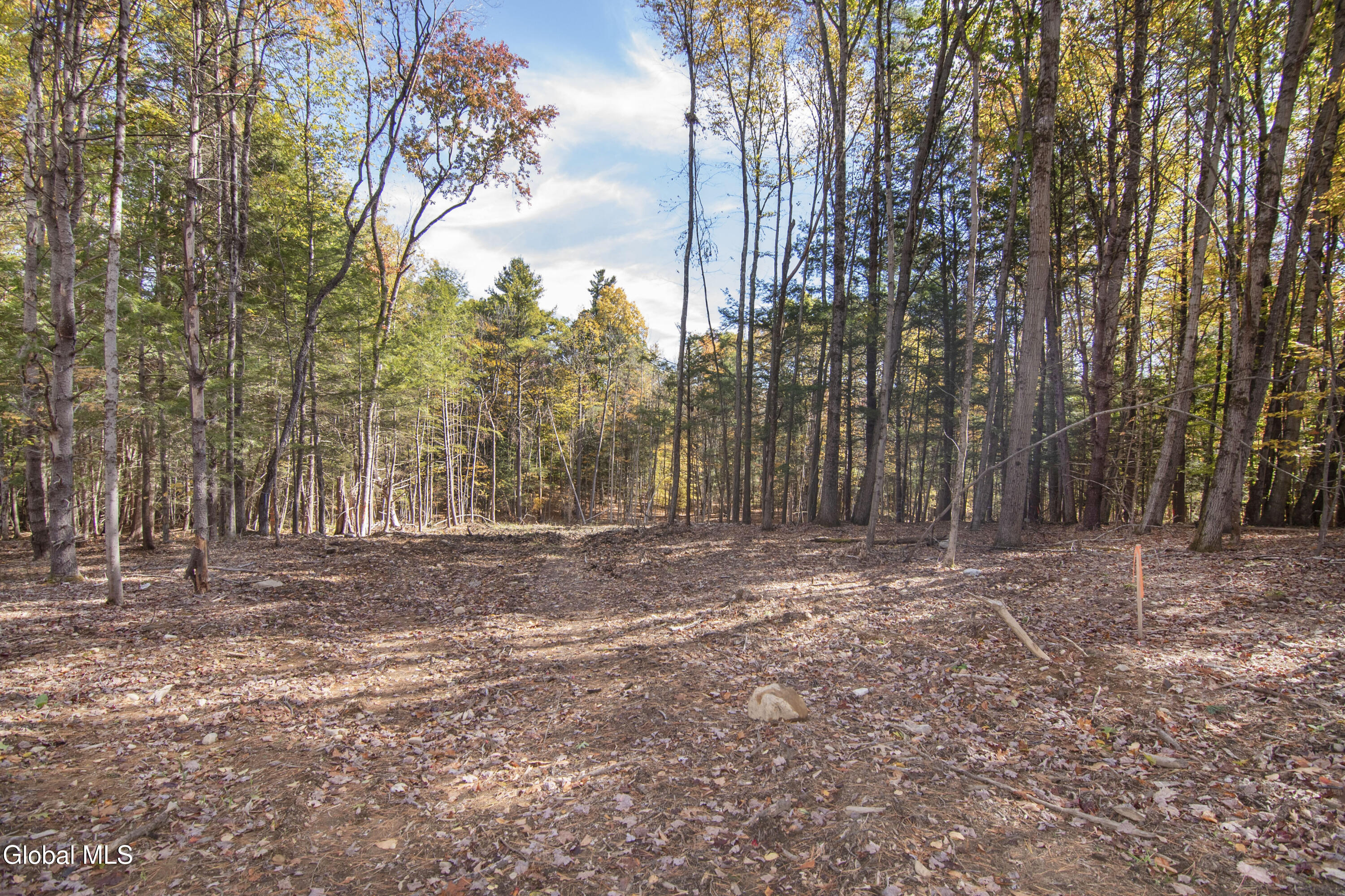 103 Sand Hill Road Greenfield, NY 12833 - Photo 17 of 24 CRG_8599