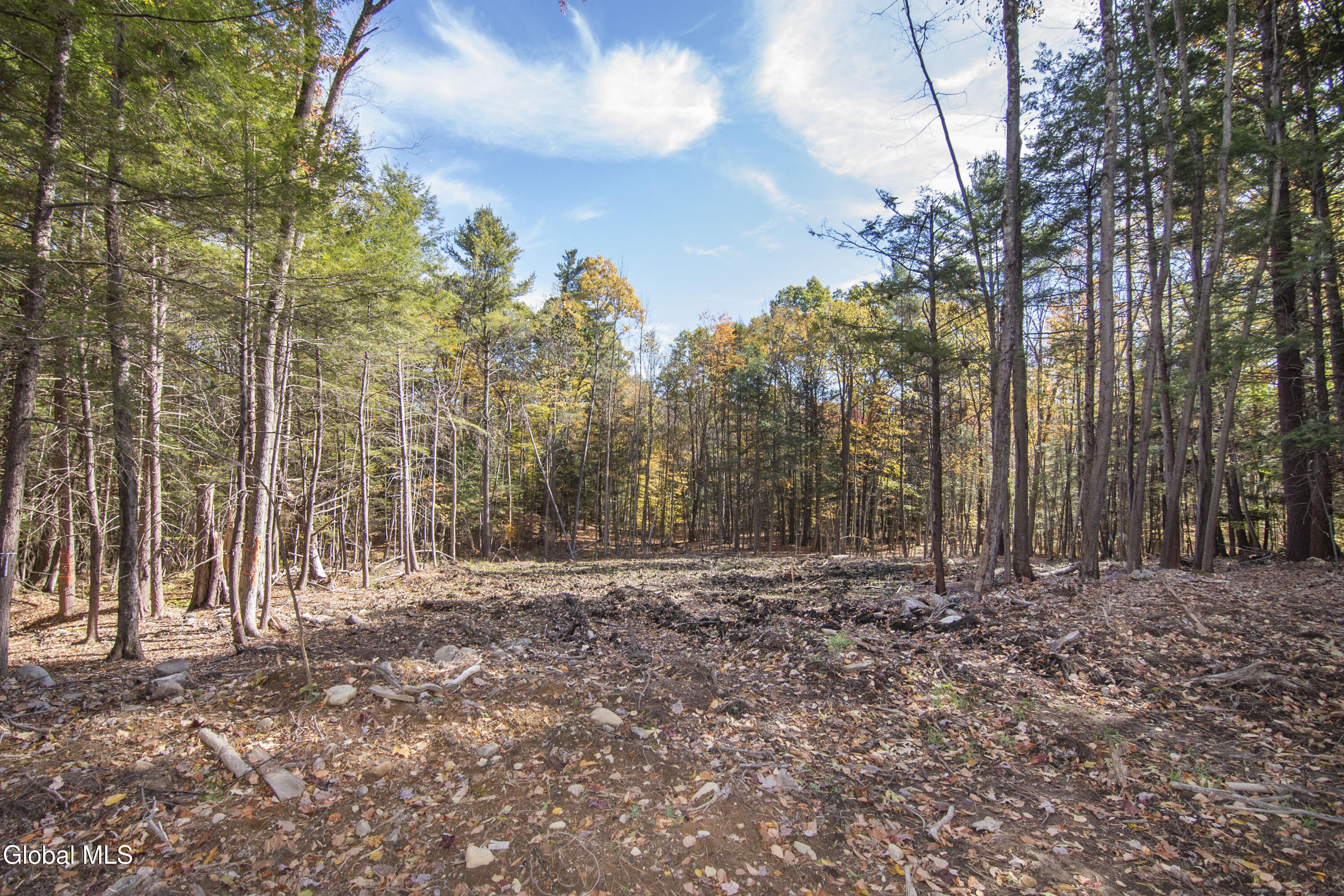 103 Sand Hill Road Greenfield, NY 12833 - Photo 20 of 24 CRG_8596