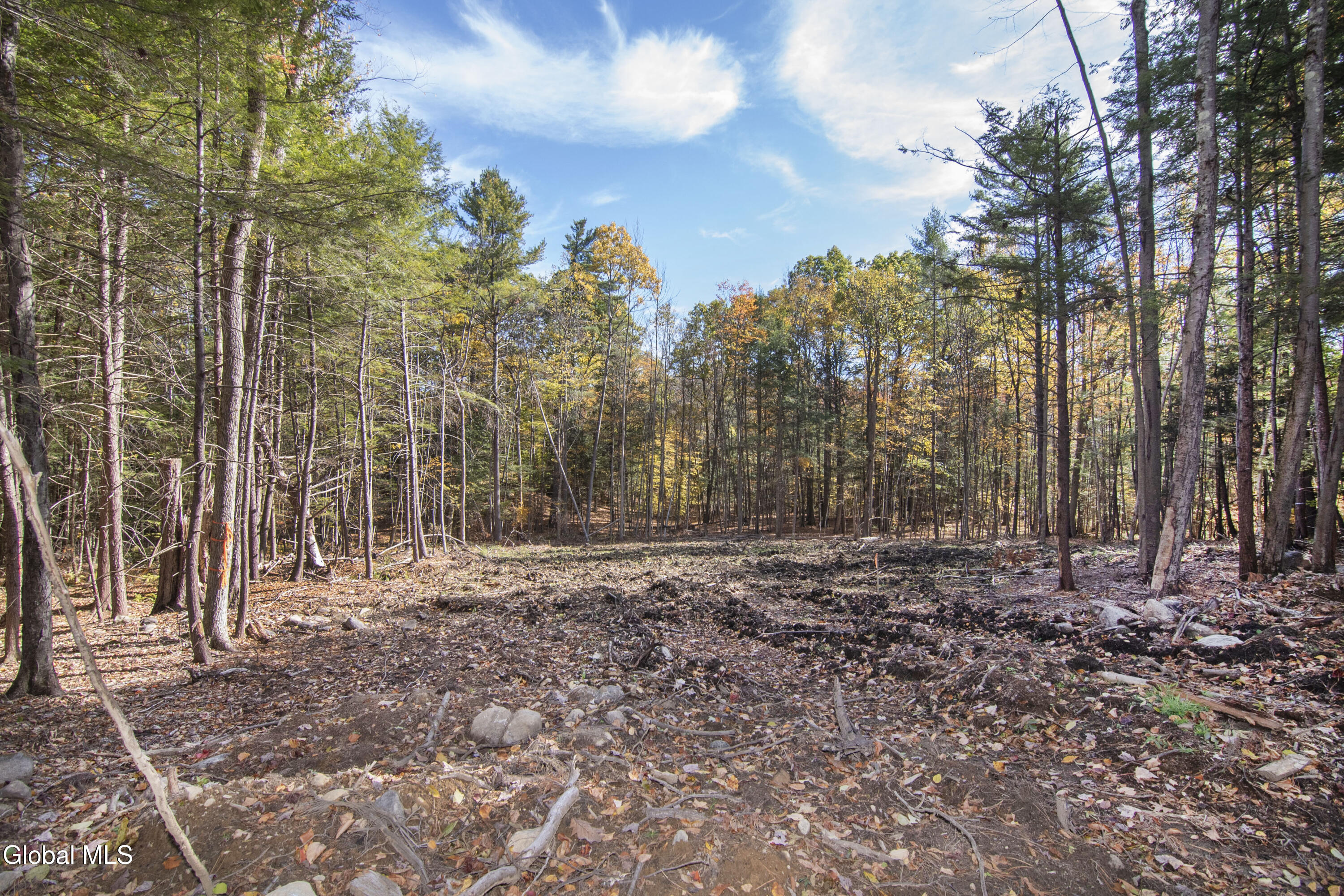 103 Sand Hill Road Greenfield, NY 12833 - Photo 9 of 14 CRG_8598