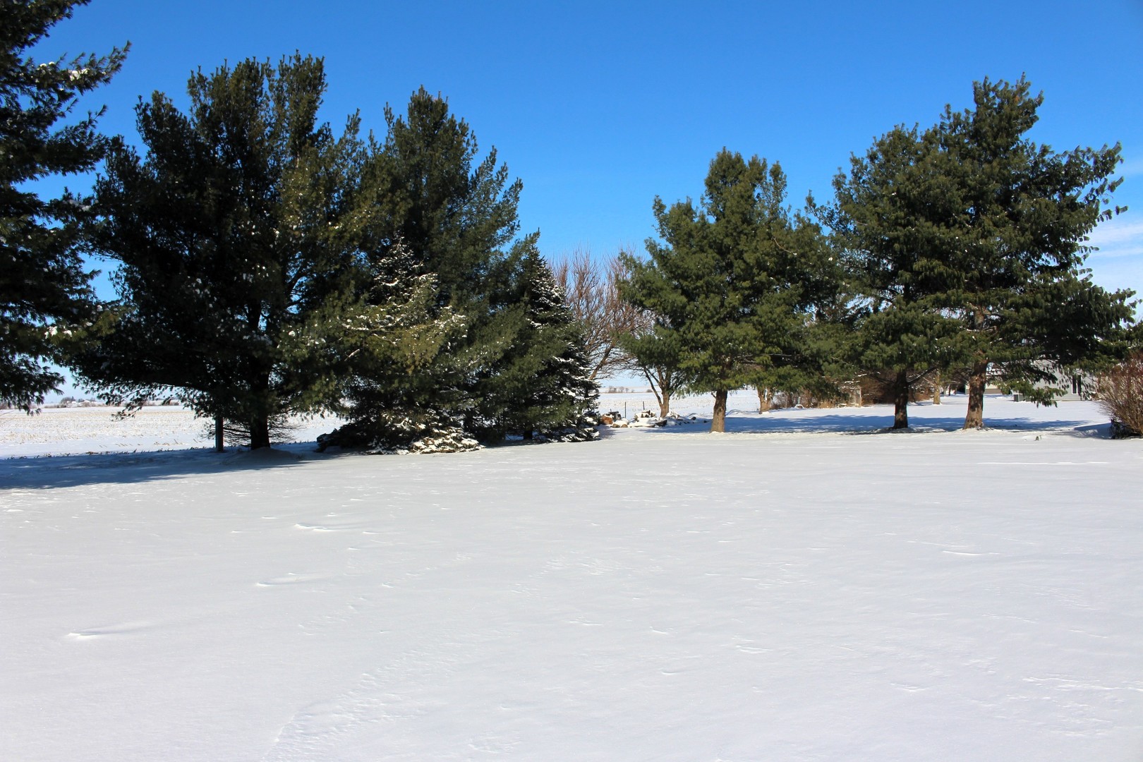 7629 White Oak Road Clinton, IL 61727 - Photo 13 of 47 a street view covered with snow