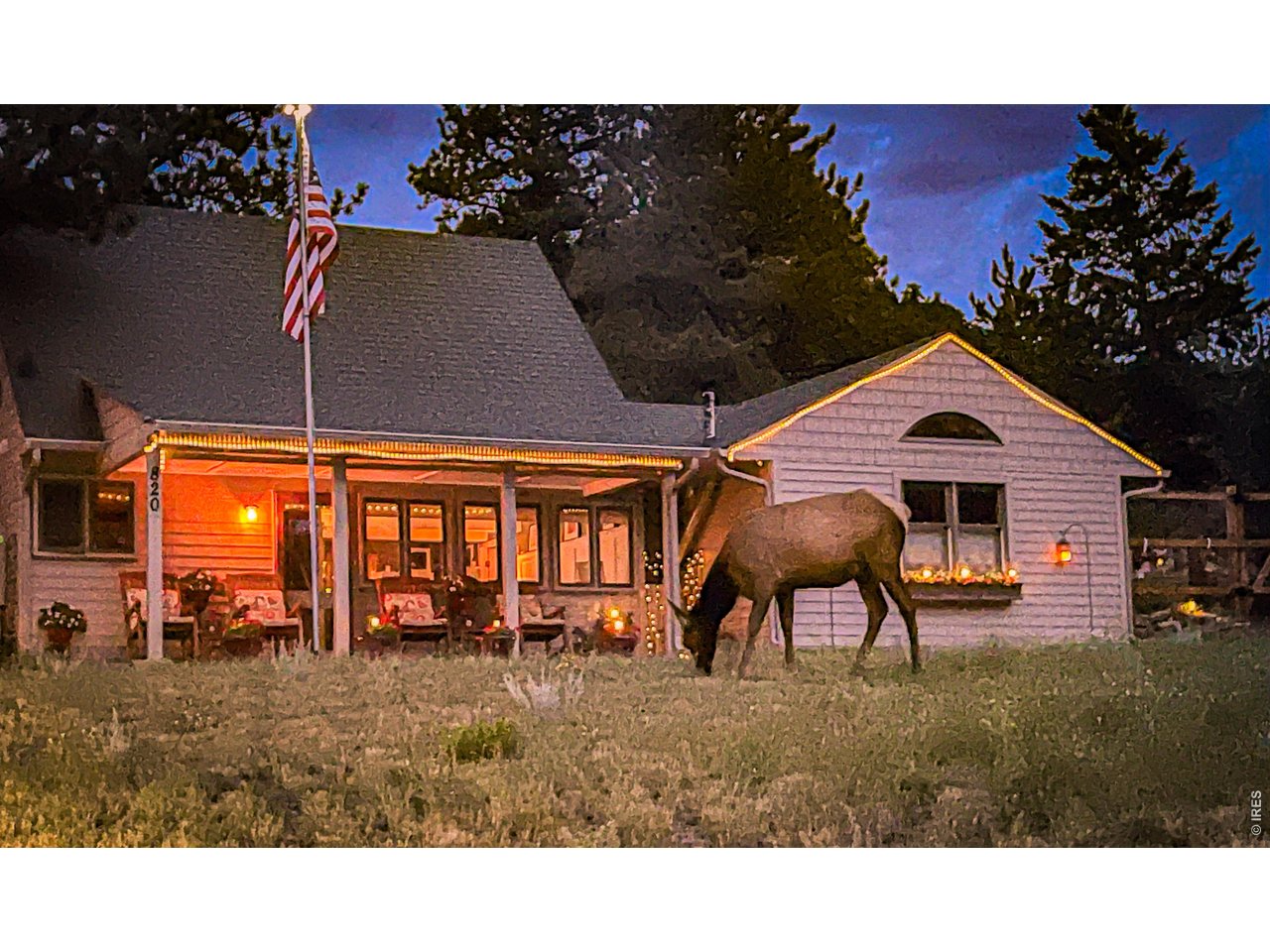 820 Riverside Drive Estes Park, CO 80517 - Photo 3 of 43 Evening visitor !