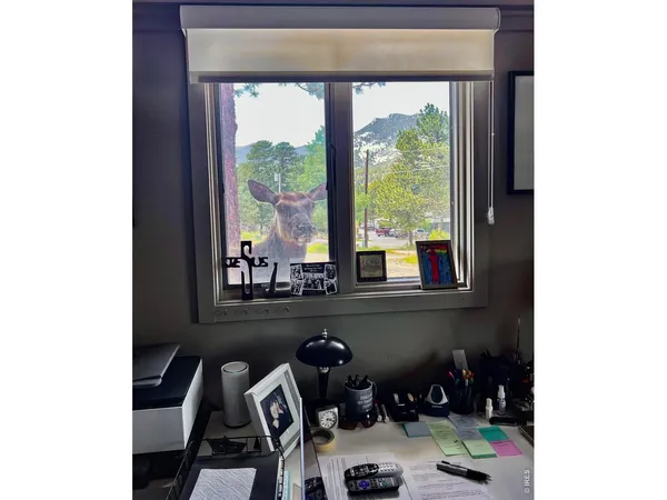 $775,000 | 820 Riverside Drive, Estes Park, CO 80517