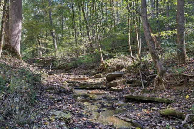 $759,000 | 1365 Seymour Drive, Pleasant View, TN 37146