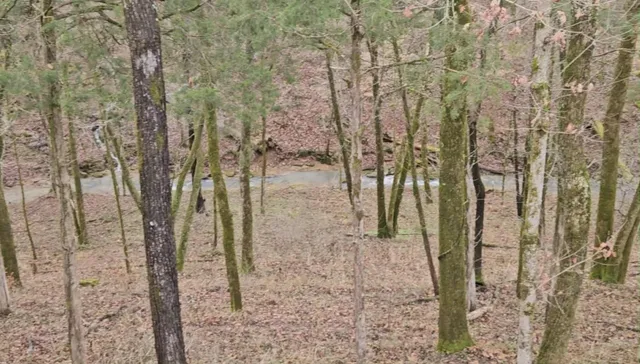 $759,000 | 1365 Seymour Drive, Pleasant View, TN 37146