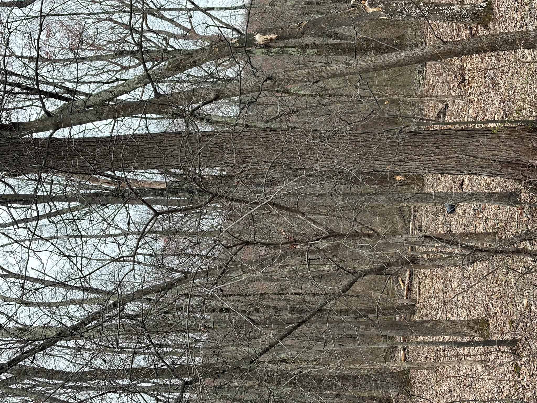 Wells Road Newburgh, NY 12550 - Photo 19 of 37
