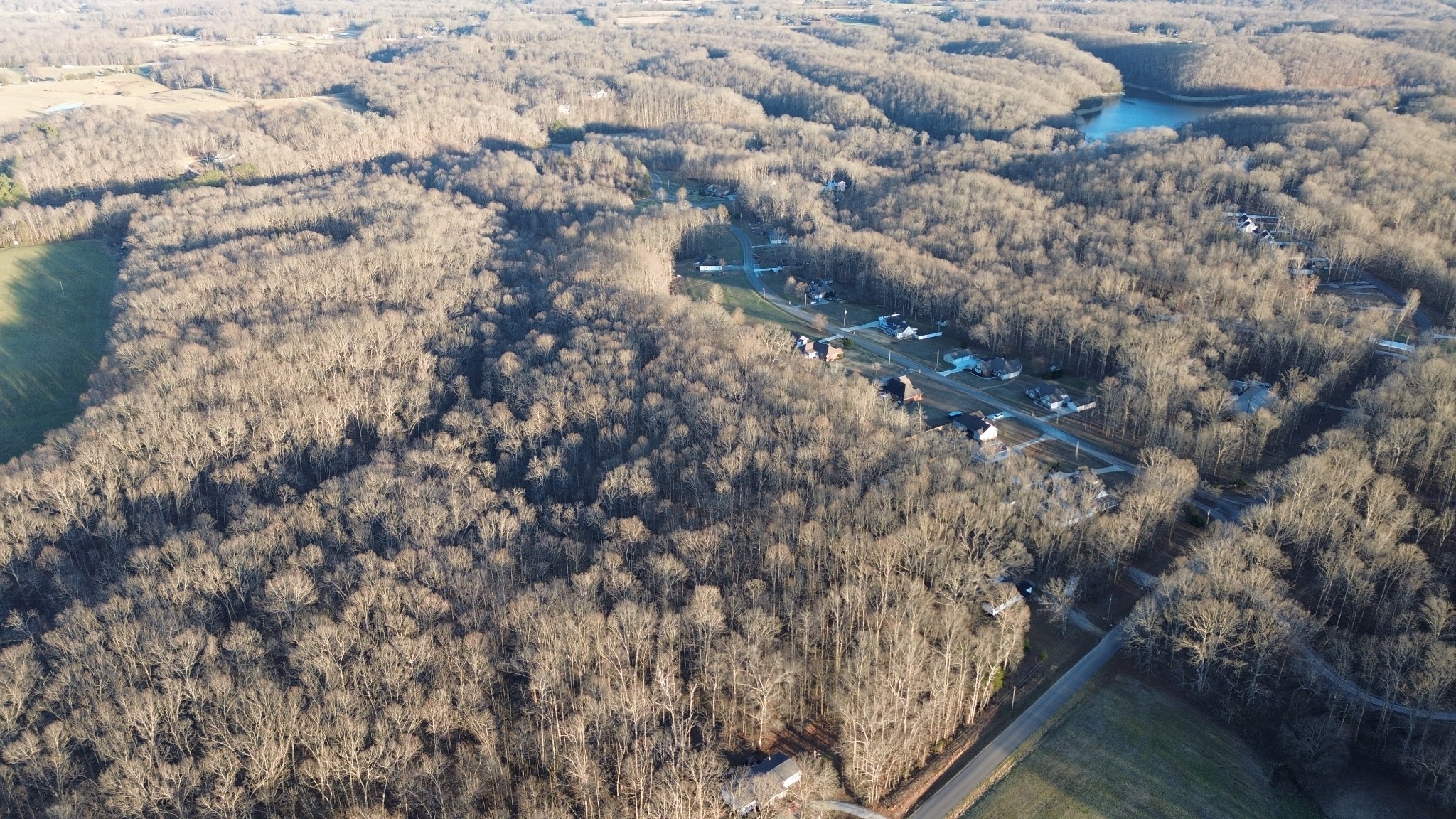 556 Panhead Hollow Road Estill Springs, TN 37330 - Photo 14 of 29