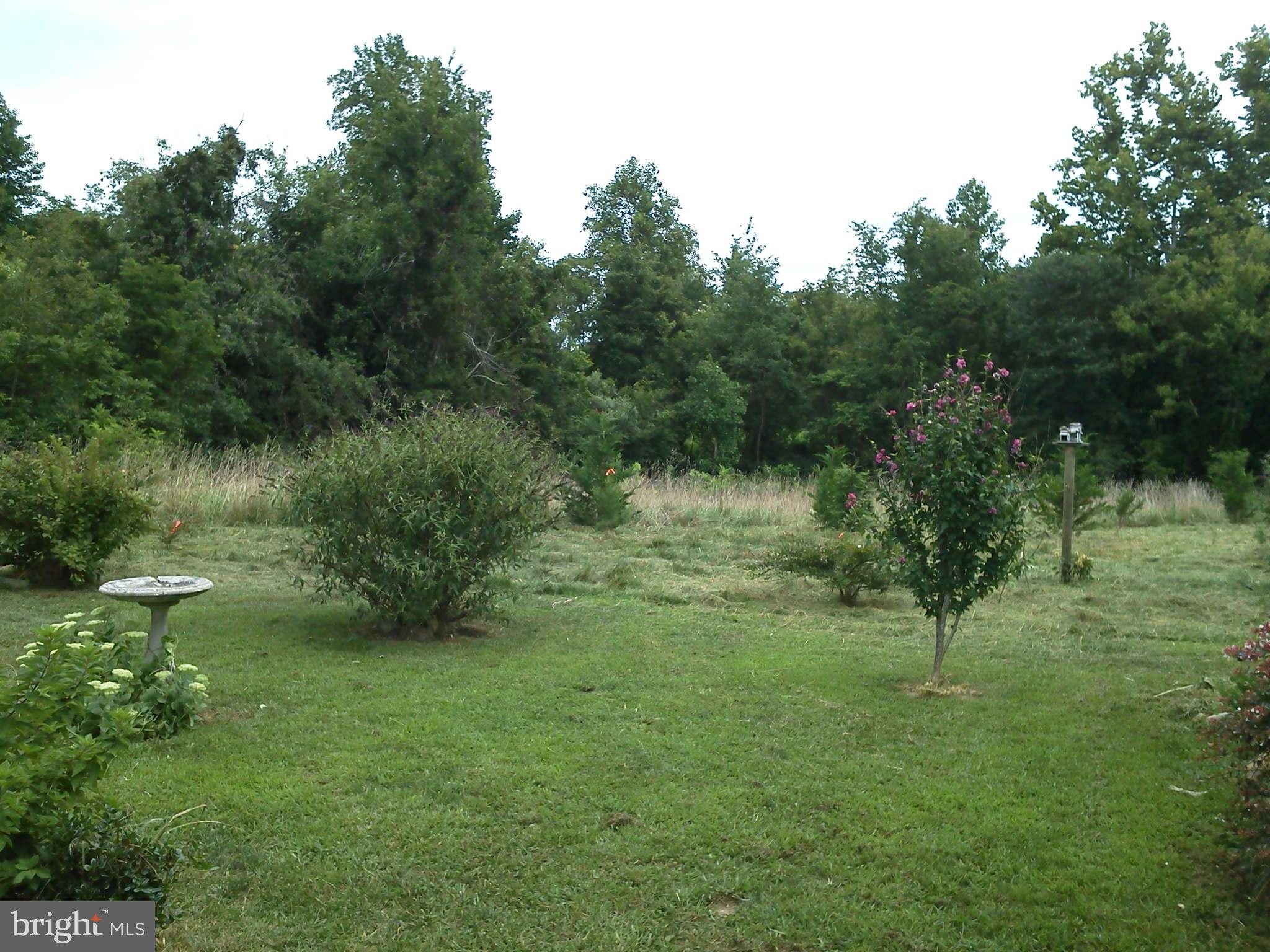 70 Flatwood Road Washington, VA 22747 - Photo 24 of 30 Exterior (General)