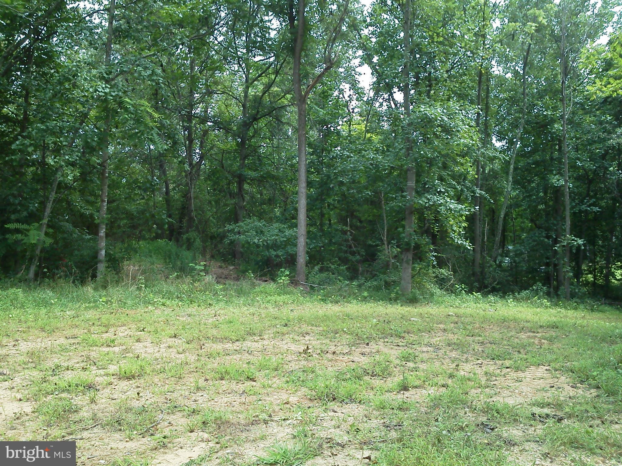 70 Flatwood Road Washington, VA 22747 - Photo 29 of 30 Exterior (General)