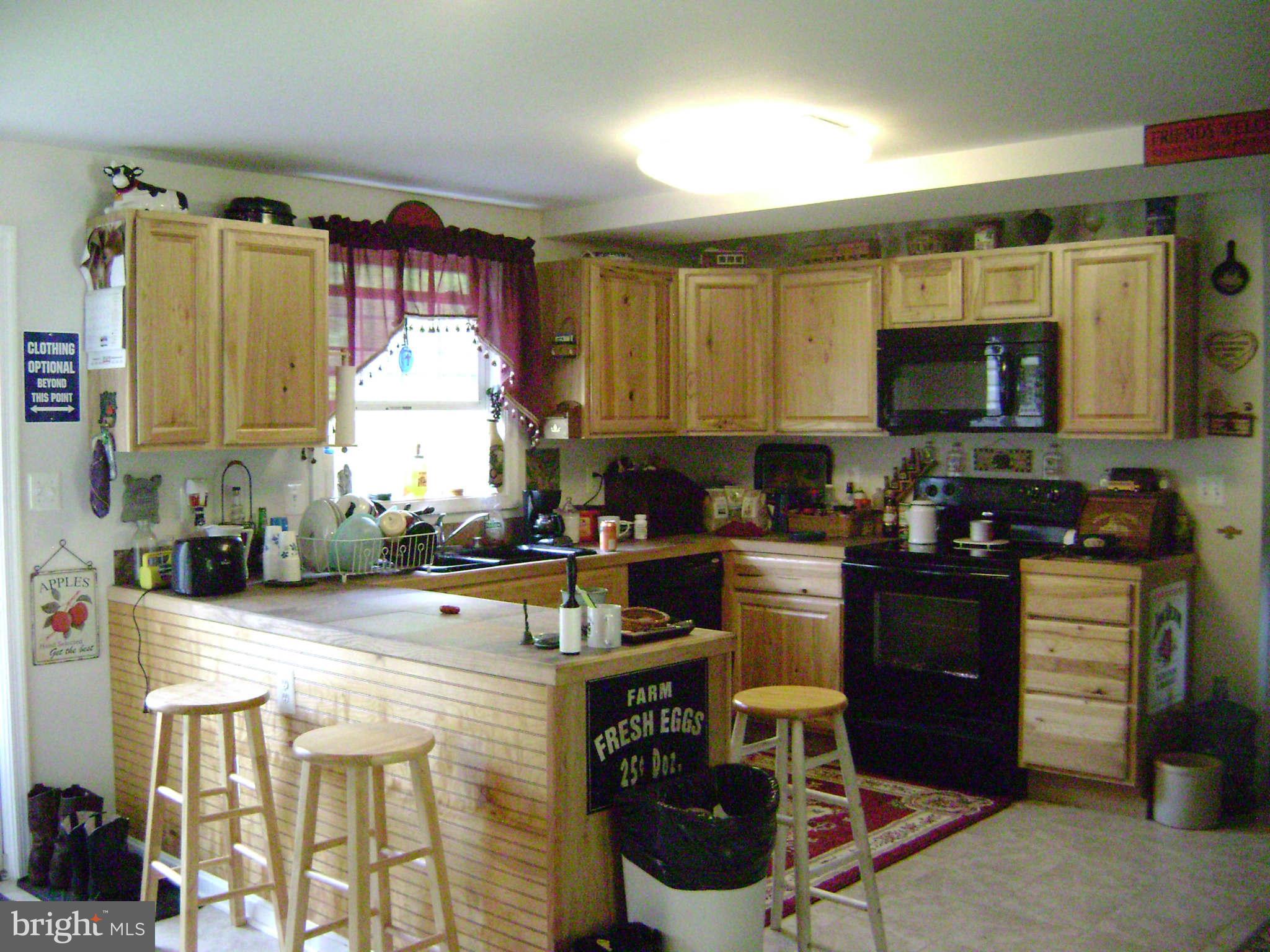 70 Flatwood Road Washington, VA 22747 - Photo 9 of 30 Kitchen