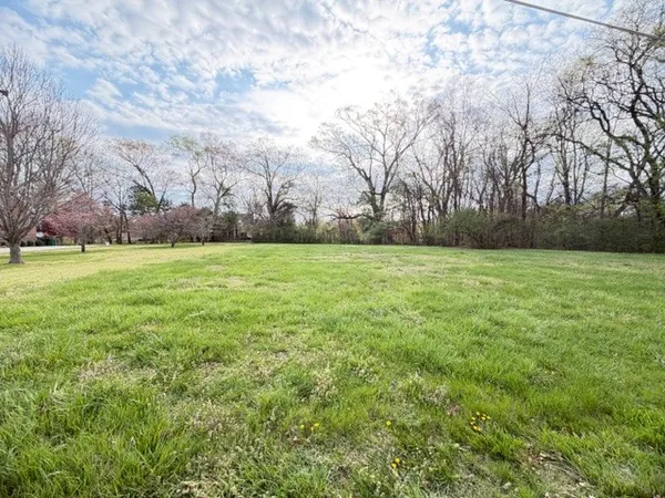 a view of a field with trees in the background