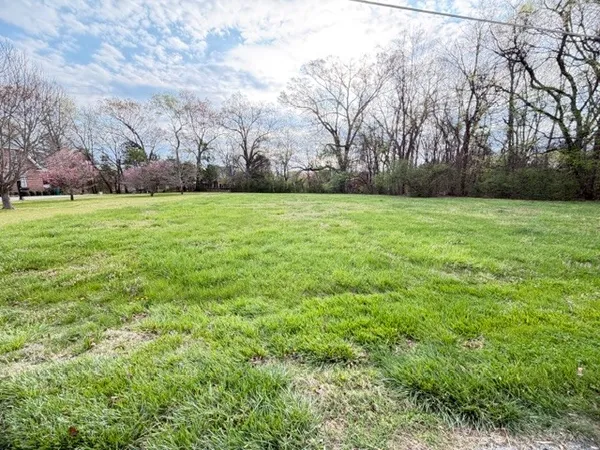 a view of outdoor space with yard