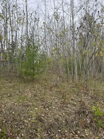 $30,000 | N12031 Us Highway, Wausaukee, WI 54177