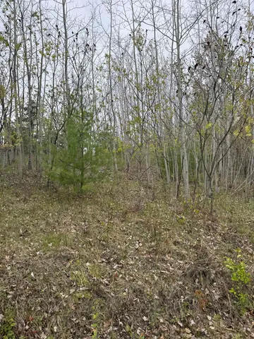 $30,000 | N12031 Us Highway, Wausaukee, WI 54177