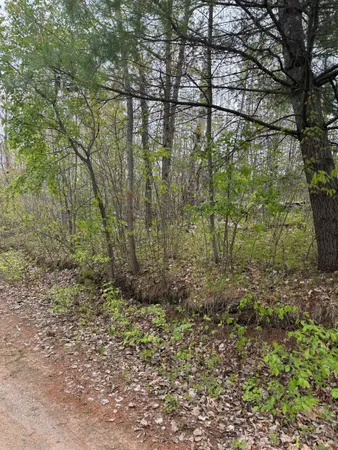 $30,000 | N12031 Us Highway, Wausaukee, WI 54177