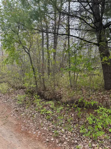 $30,000 | N12031 Us Highway, Wausaukee, WI 54177