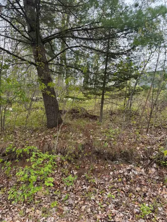 $30,000 | N12031 Us Highway, Wausaukee, WI 54177