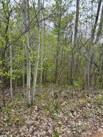 $30,000 | N12031 Us Highway, Wausaukee, WI 54177