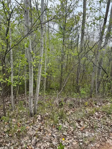 $30,000 | N12031 Us Highway, Wausaukee, WI 54177