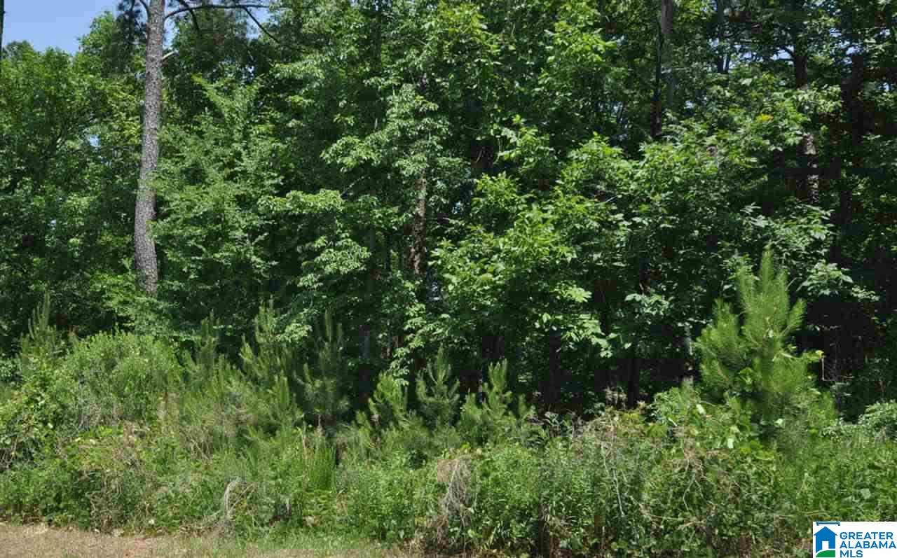 Country Hills Road, Unit 4A Montevallo, AL 35115 - Photo 3 of 3
