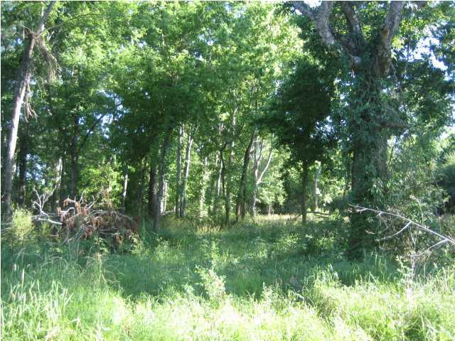 0 Miller Road Opelousas, LA 70570 - Photo 1 of 3 Primary Photo