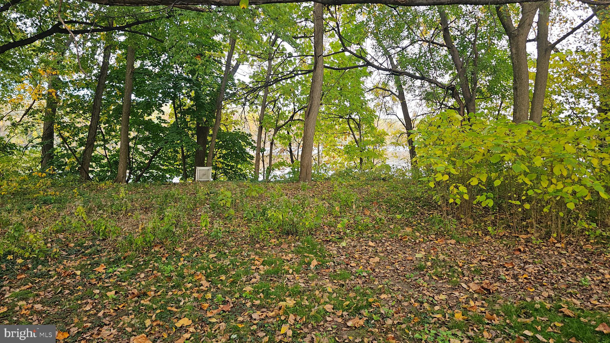 243 West Front Street Florence, NJ 08518 - Photo 6 of 12