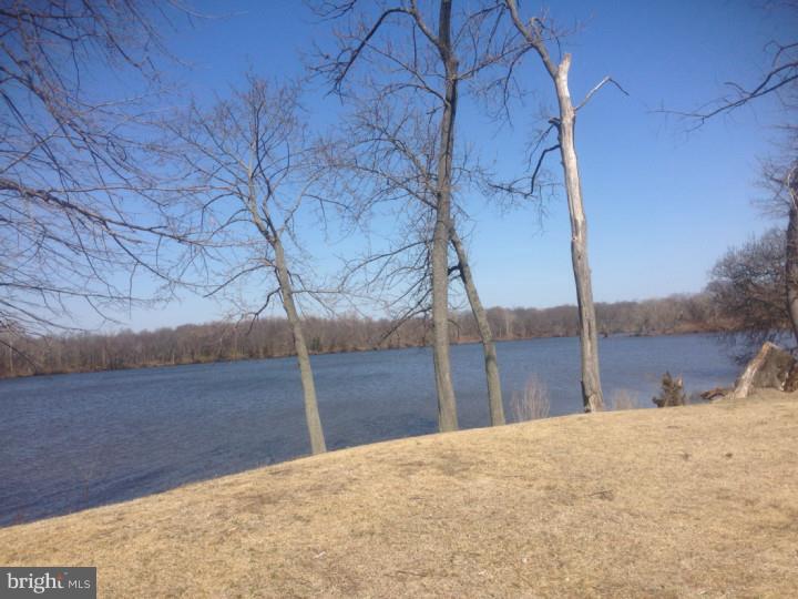 513 Polk Street Riverside, NJ 08075 - Photo 11 of 12