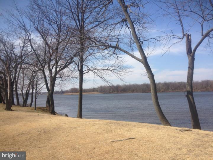 513 Polk Street Riverside, NJ 08075 - Photo 12 of 12